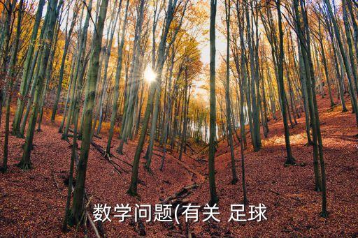  數(shù)學(xué)問題(有關(guān) 足球
