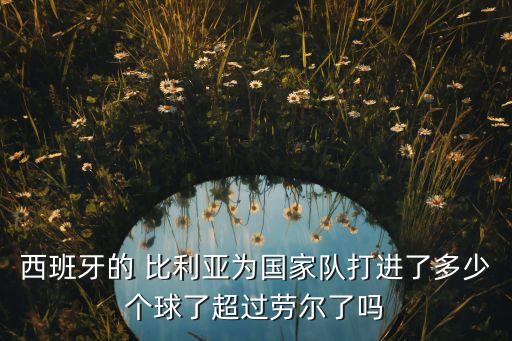 西班牙的 比利亞為國家隊(duì)打進(jìn)了多少個(gè)球了超過勞爾了嗎