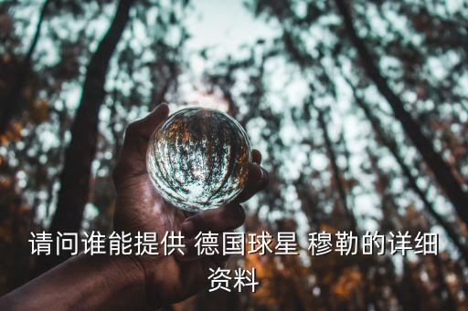 請問(wèn)誰(shuí)能提供 德國球星 穆勒的詳細資料