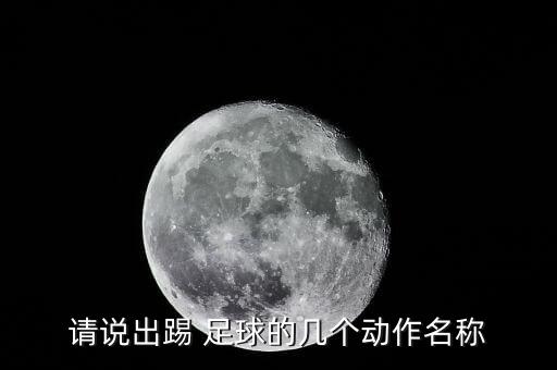 請(qǐng)說出踢 足球的幾個(gè)動(dòng)作名稱