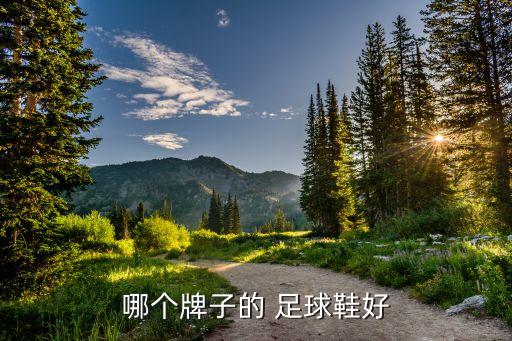 哪個牌子的 足球鞋好