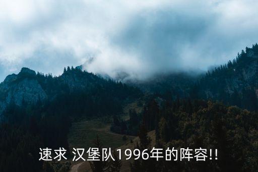 速求 漢堡隊(duì)1996年的陣容!!