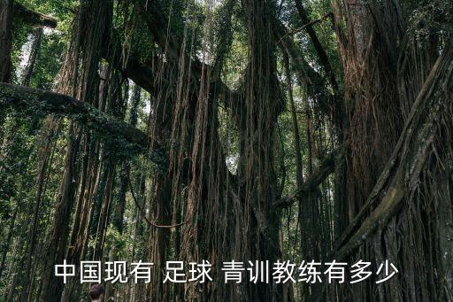 國內(nèi)足球青訓(xùn)