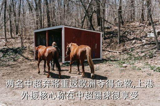 兩名中超棄將重返歐洲奪得金靴,上港外援核心稱在中超踢球很享受