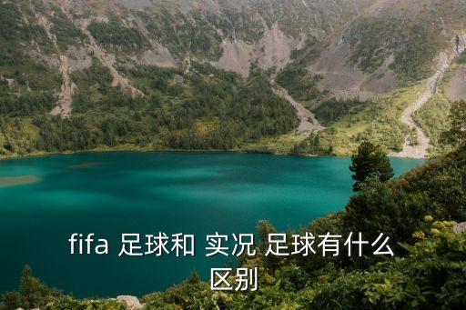 fifa 足球和 實(shí)況 足球有什么區別