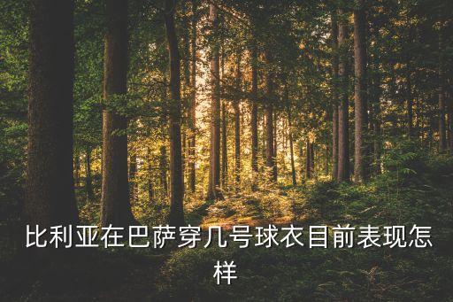  比利亞在巴薩穿幾號(hào)球衣目前表現(xiàn)怎樣
