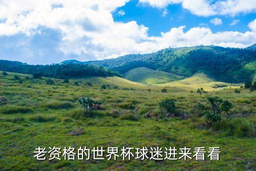 老資格的世界杯球迷進(jìn)來看看