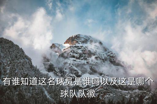 十字繡足球隊(duì)徽圖片,足球隊(duì)徽logo設(shè)計(jì)圖片