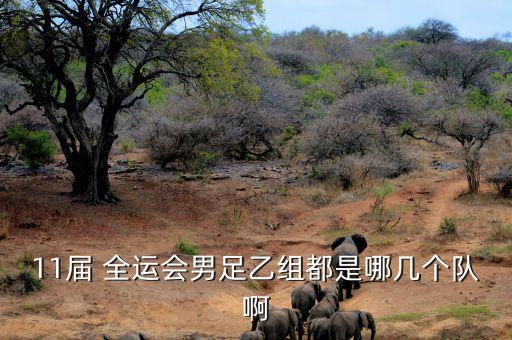 11屆 全運(yùn)會男足乙組都是哪幾個(gè)隊(duì)啊