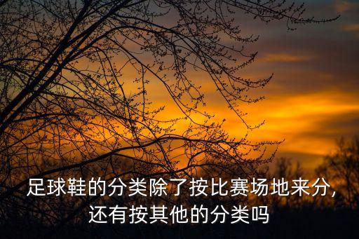  足球鞋的分類除了按比賽場地來分,還有按其他的分類嗎