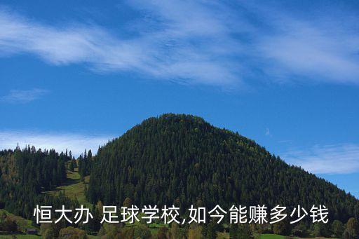  恒大辦 足球?qū)W校,如今能賺多少錢