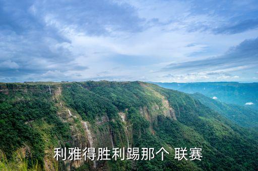 利雅得勝利踢那個 聯(lián)賽