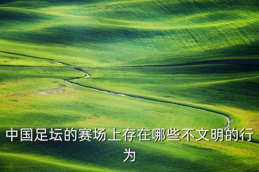 中國足壇的賽場上存在哪些不文明的行為
