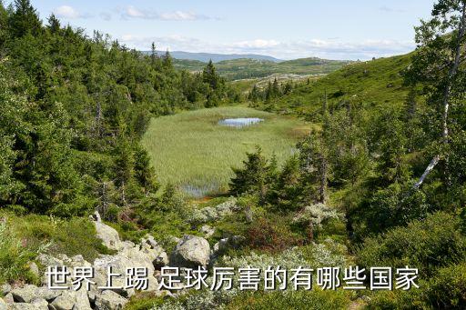 西班牙足球戰(zhàn)術(shù)板,足球教練戰(zhàn)術(shù)板app