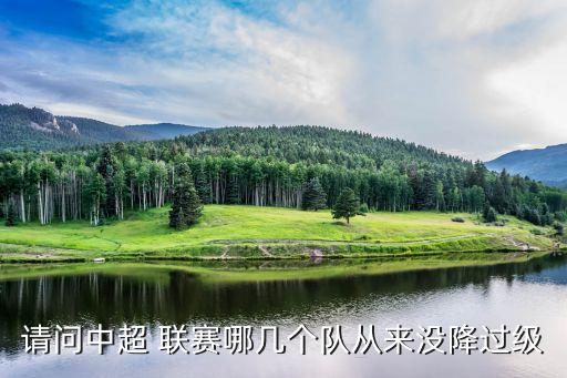 請問中超 聯(lián)賽哪幾個隊從來沒降過級
