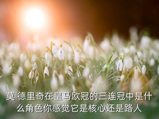 莫 德里奇在皇馬歐冠的三連冠中是什么角色你感覺(jué)它是核心還是路人