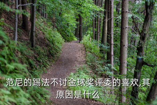 范尼的踢法不討金球獎評委的喜歡,其原因是什么