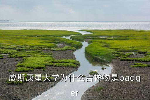 威斯康星大學(xué)為什么吉祥物是badger