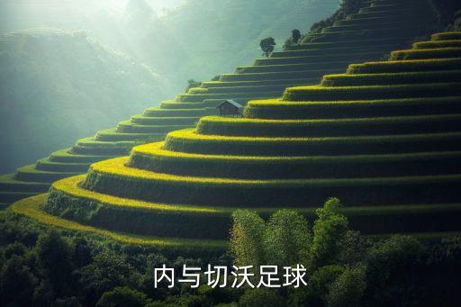 內與切沃足球