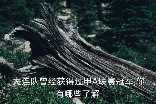  大連隊(duì)曾經(jīng)獲得過甲A聯(lián)賽冠軍,你有哪些了解