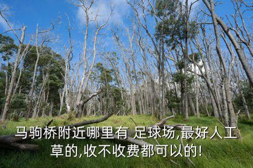 馬駒橋附近哪里有 足球場,最好人工草的,收不收費(fèi)都可以的!