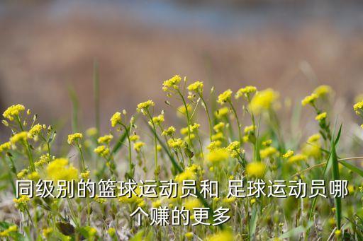 同級(jí)別的籃球運(yùn)動(dòng)員和 足球運(yùn)動(dòng)員哪個(gè)賺的更多