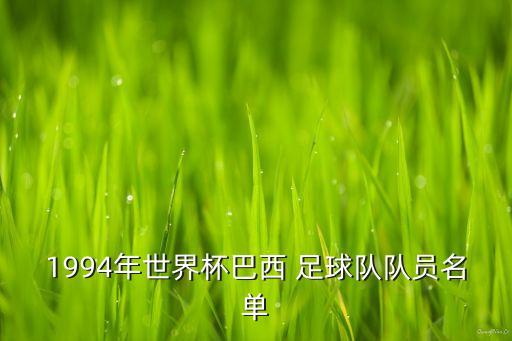 布拉迪斯拉發(fā)足球隊(duì)對(duì)米爾薩米