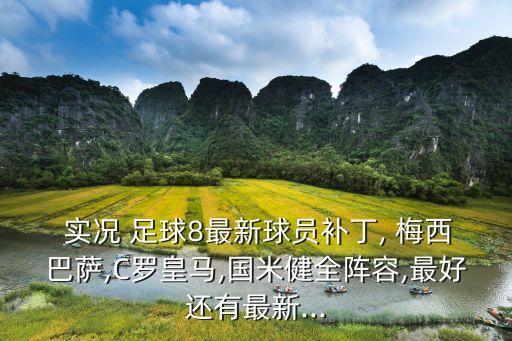 實(shí)況足球8梅西臉型幾號(hào)