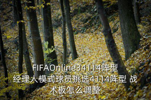 FIFAOnline34114陣型經(jīng)理人模式球員挑選4114陣型 戰(zhàn)術(shù)板怎么調(diào)整