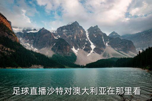  足球直播沙特對澳大利亞在那里看