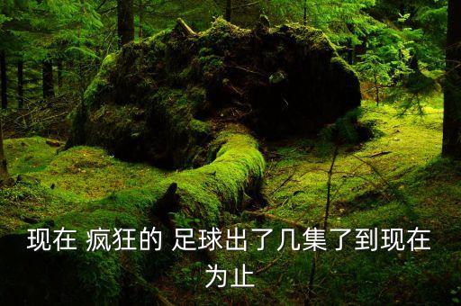 瘋狂的足球2016第5集,天下足球瘋狂的足球2016