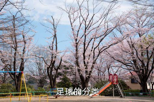  足球的分類