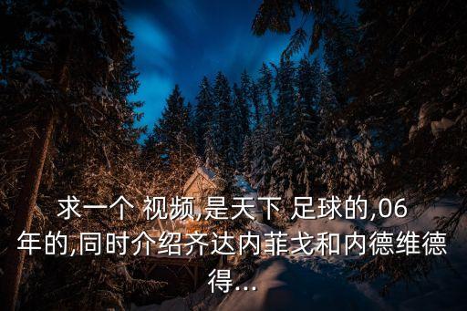 足球大師視頻,足球數(shù)據(jù)分析大師