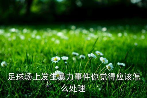 足球場上侮辱對方