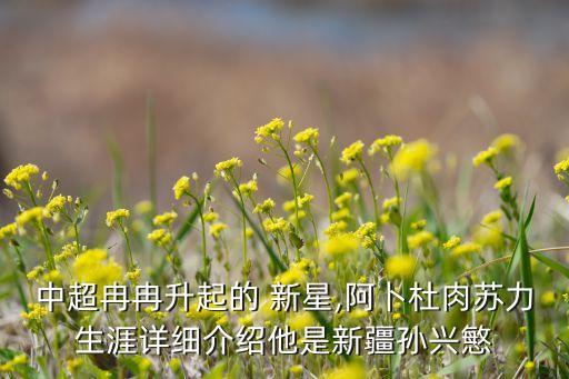 中超冉冉升起的 新星,阿卜杜肉蘇力生涯詳細(xì)介紹他是新疆孫興慜