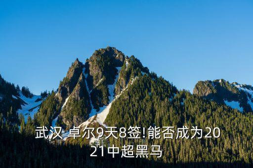  武漢 卓爾9天8簽!能否成為2021中超黑馬