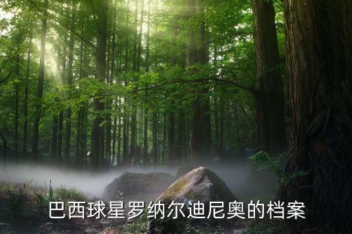 巴西球星羅納爾迪尼奧的檔案