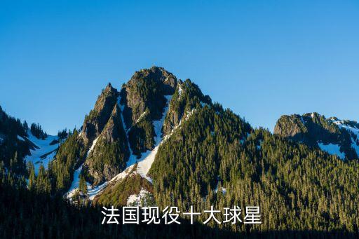 法國足球明星里,法國現(xiàn)役足球明星