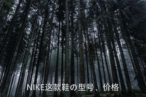 NIKE這款鞋の型號(hào)、價(jià)格