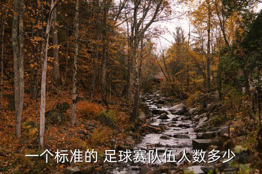 一個標準的 足球賽隊伍人數(shù)多少