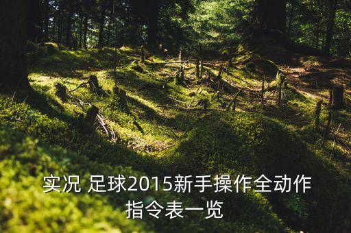  實況 足球2015新手操作全動作指令表一覽