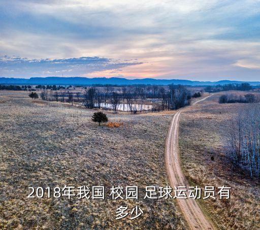 2018年我國 校園 足球運動員有多少