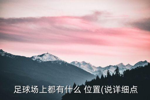  足球場(chǎng)上都有什么 位置(說(shuō)詳細點(diǎn)