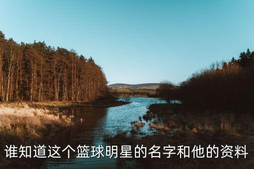 誰知道這個籃球明星的名字和他的資料