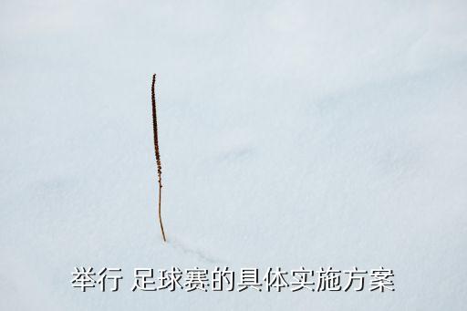 校園足球比賽多少人