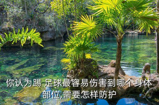 你認(rèn)為踢 足球最容易傷害到哪個(gè)身體部位,需要怎樣防護(hù)