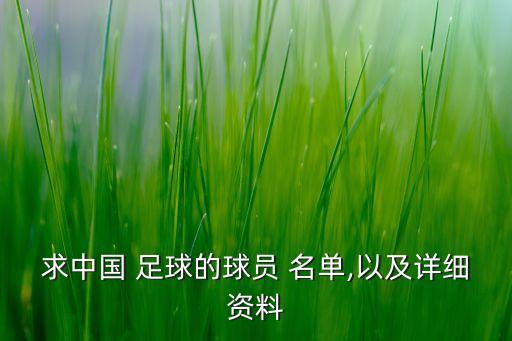 求中國(guó) 足球的球員 名單,以及詳細(xì)資料