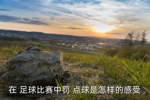 墨西哥哪個足球運動員點球沒見被殺