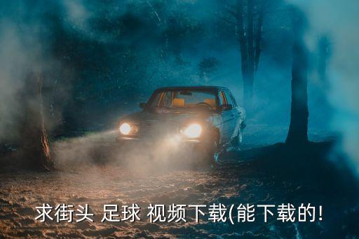 求街頭 足球 視頻下載(能下載的!