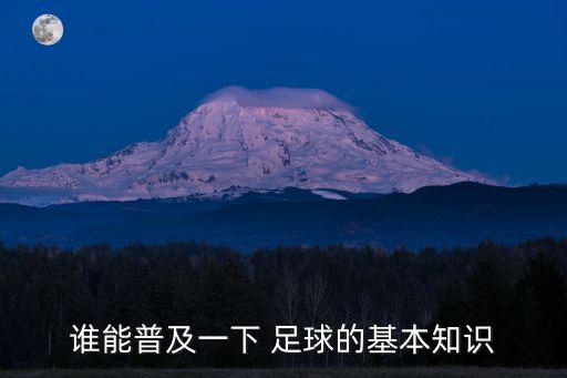 誰(shuí)能普及一下 足球的基本知識(shí)